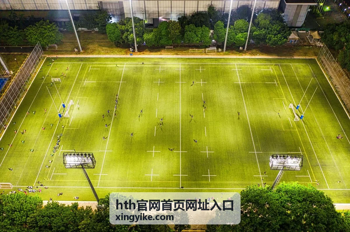 hth官网首页网址入口地址核对与状态标注示意图